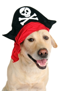 Halloween pirate